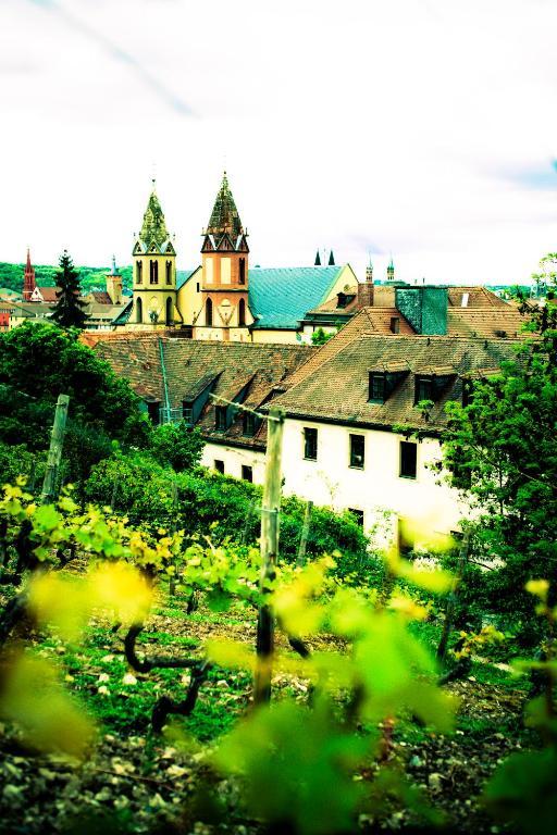 Youth Hostel Wuerzburg Luaran gambar